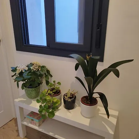 Apartment Calle Pureza Nº59 Sevilla